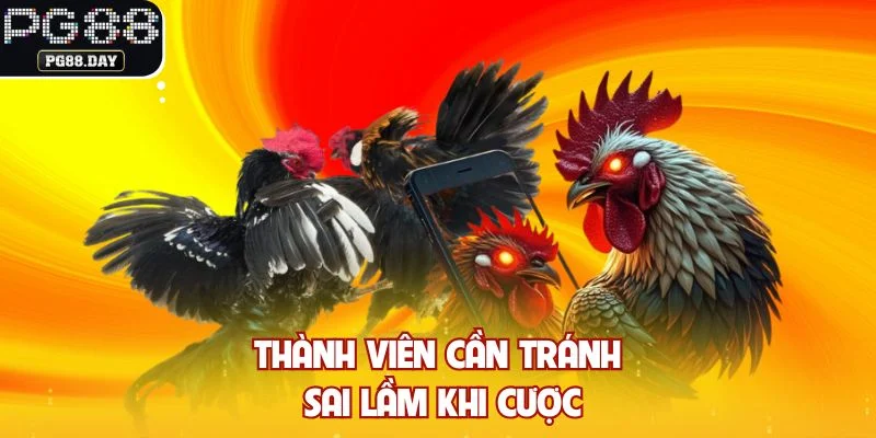 Thành viên cần tránh sai lầm khi cược